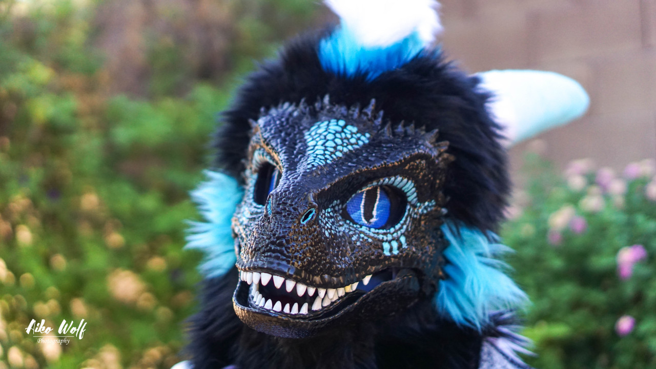 Choir upside down Atlas Thunderhowl Studios — Introducing our new Raptor Dragon head made by...