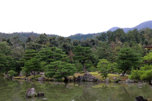 boschintegral-photo:@ Kinkaku-Ji  金閣寺Kyoto, Japan