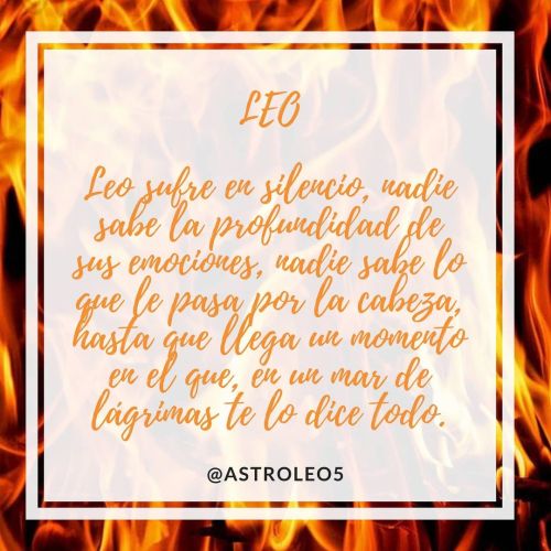 teamleoking