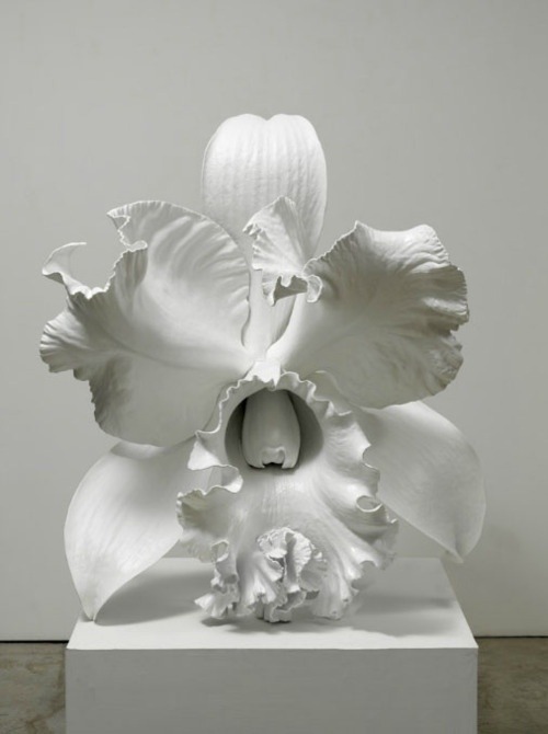 darksilenceinsuburbia:  Marc Quinn . The Archeology of the Baroque, 2012.    Saatchi