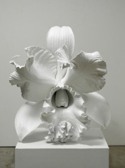 darksilenceinsuburbia:  Marc Quinn . The Archeology of the Baroque, 2012.    Saatchi Gallery