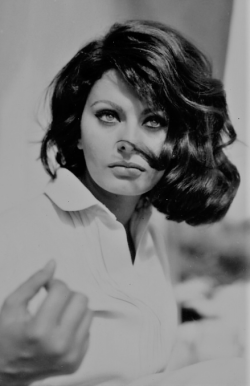 gatabella:  Sophia Loren by Peter Basch, Italy, 1963