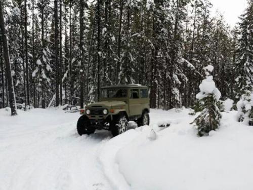 The Wolf hunts the Coyote