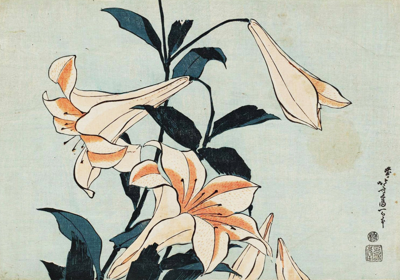 blackcoffeecinnamon: Katsushika Hokusai (1760-1849)   葛飾北斎 Lilies, ca.1832-34