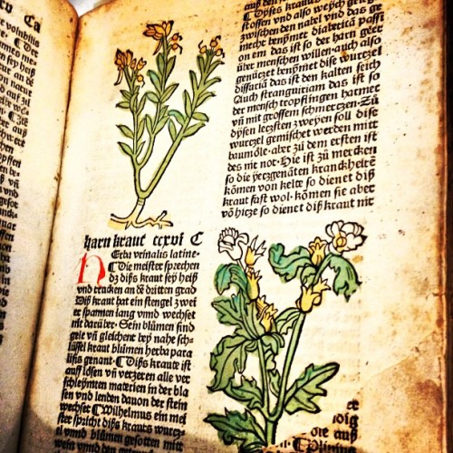 brilliantbotany:thebrainscoop:The oldest western book from The Field Museum’s archives: Gart der Ges