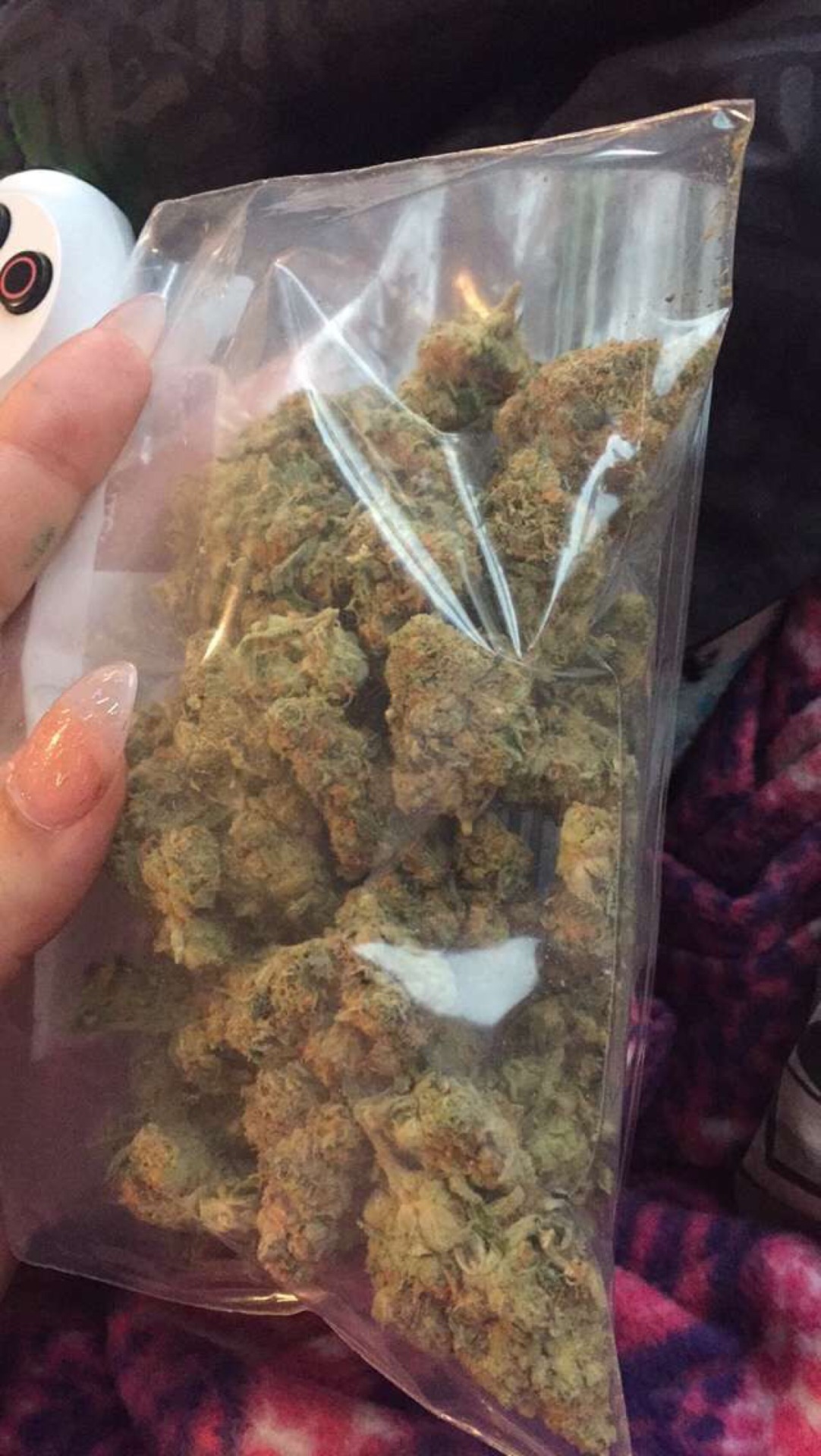 TRIPPYHIPPY