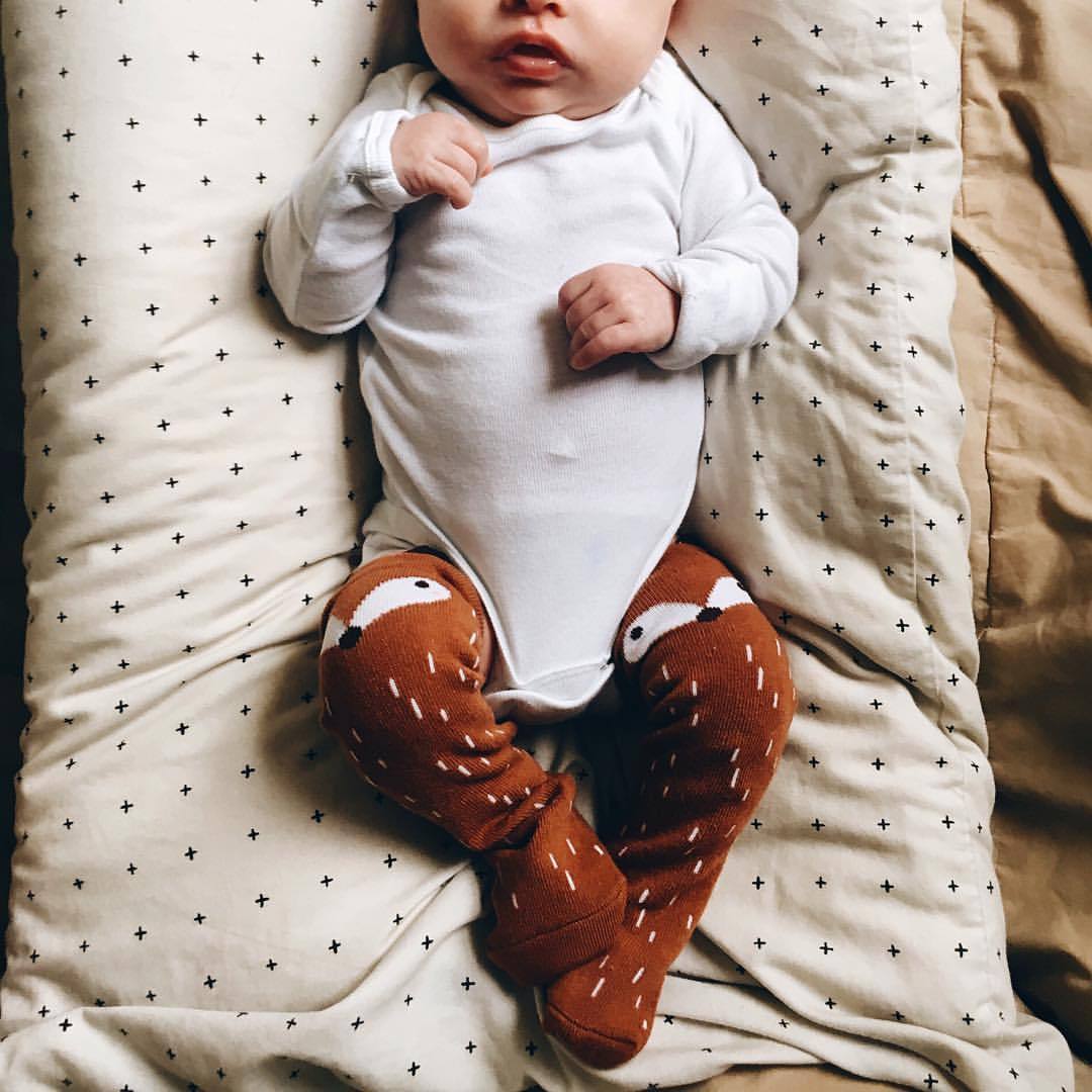 arrowfolk:   (tiny)Fox feet • 🌿🐺   Awww 😍