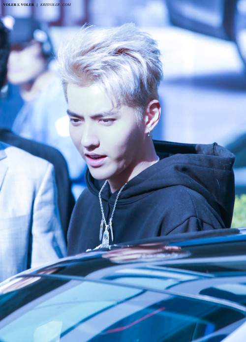 fyifan:voler k voler • do not edit (1, 2, 3, 4)