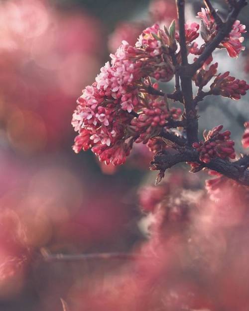 crossconnectmag: Photography by Sandra LinnellSandra Linnell is a self-taught photographer, based in