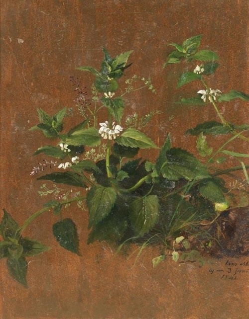 Christian Friedrich Gille  (1805 - 1899)Meadow piece, 1848