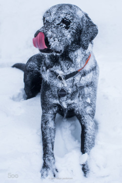 morethanphotography:snow bath by JrnAllanPedersen