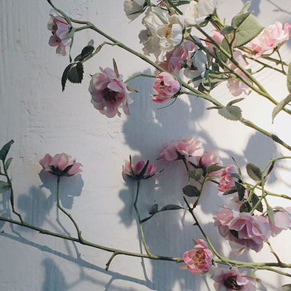 lemonjwi:  “can we speak in flowers?it’ll be easier for me to understand.”&nb