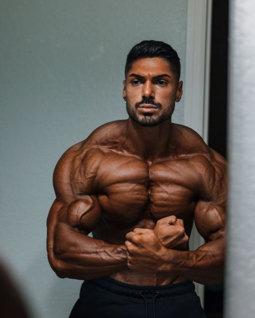 musclecomposition:Physique model,   Andrei Deiu  