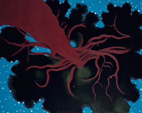 Georgia O'Keeffe, The Lawrence Tree 1929, oil on canvas, 78.7 x 101.6 cm