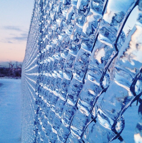 deformutilated:Ice-coated chain link fence