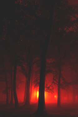 wavemotions:  Forest Fire. by BamaWester