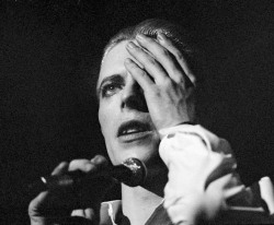 soundsof71:  David Bowie, Copenhagen 1976, by Jorgen Angel