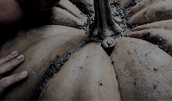 hpday: Besides, the world isn’t split into good people and Death Eaters. We’ve