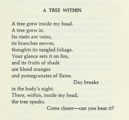 Octavio Paz, ‘A Tree Within’, A Tree Within (trans. Eliot Weinberger)