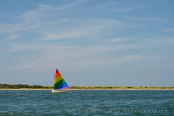 everythingcapecod:  catboat (by ghinson)