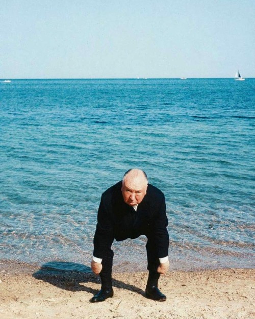 Alfred Hitchcock at the 1963 Cannes Film Festival.#alfredhitchcock #hitchcock #vintagehollywood #o