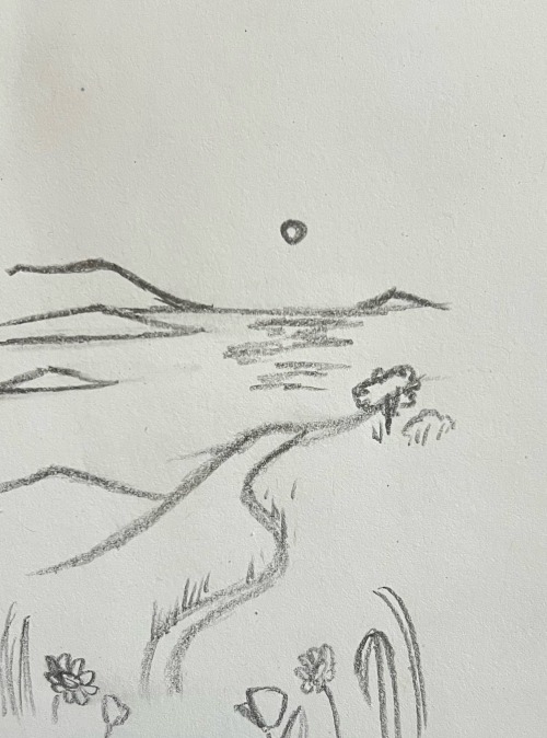 Sketch Descriptions: