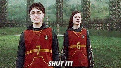 isobelstevenz:  harry potter meme ϟ  ten characters  (4/10) -  ginny weasley  ”right,” said ginny, tossing her long red hair out of her face and glaring at ron, “let’s get this straight once and for all. it is none of your business who