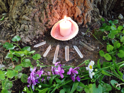 floralwaterwitch:a little altar for practicing witchcraft in nature ✨
