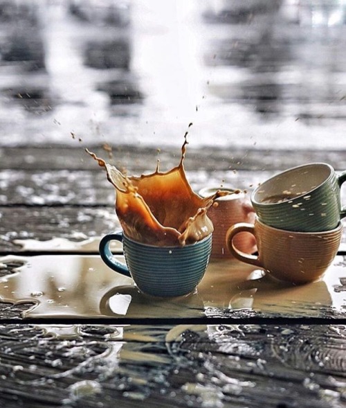 Fresh Brewed Life