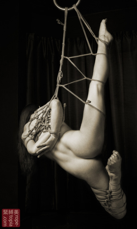 ballerinabondagefairies:  The art of shibari. 