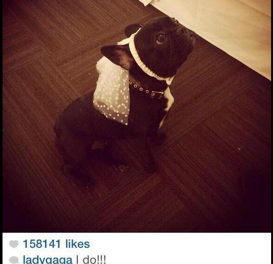 mariamongiardo:  so gaga is marrying asia