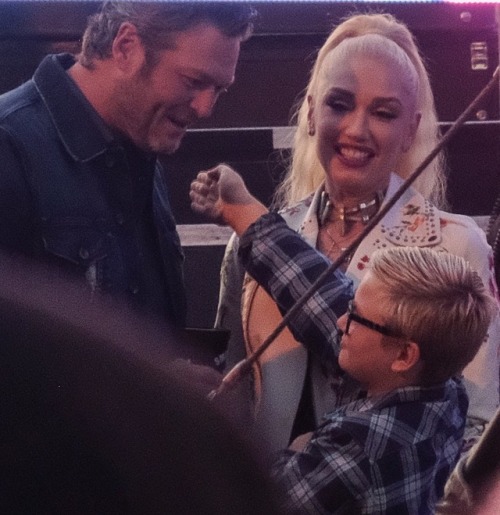 shefani