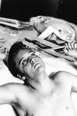 vinceveretts:  Elvis photographed by Lloyd Shearer, Memphis, 1956. 