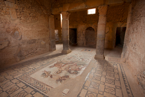 via-appia: Subterranean room in the House of AmphitriteRoman Empire, Tunisia(Roman Mosaics Across th