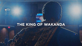saltybatman:  endless list of favorite characters → t’challa ↳“Wakanda will