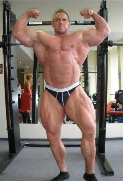 ilovebodybuilders:  Dániel Tóth 