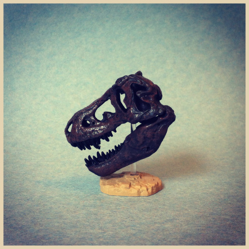 Tyrannosaurus rex skull, Kaiyodo, Capsule Q, Tyrannosaur series, 2013.