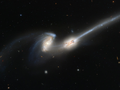 Colliding galaxies nicknamed &lsquo;The Mice&rsquo;, NGC 4676 [3857 × 2893]