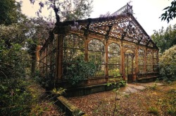 abandonedandurbex: Overgrown Victorian greenhouse [1024 x 680]