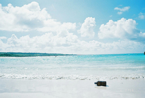 fuckyeahjapanandkorea:  Irabujima (by miki-re)