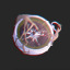 maki-averno