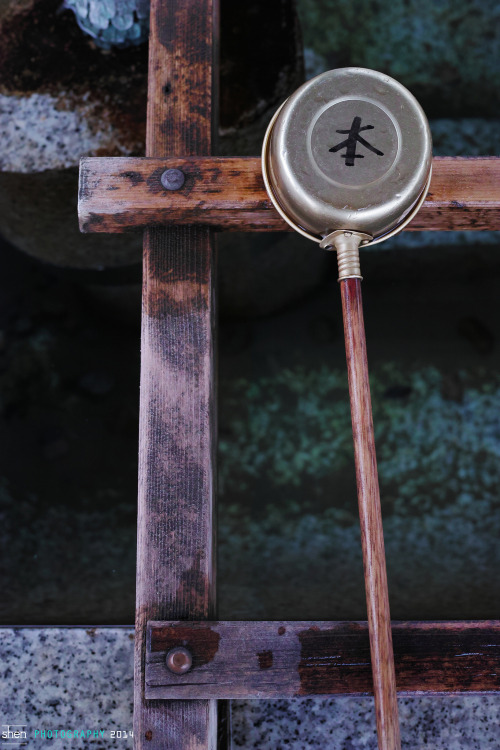 novemberschopin:  (by shenyang@tokyo)