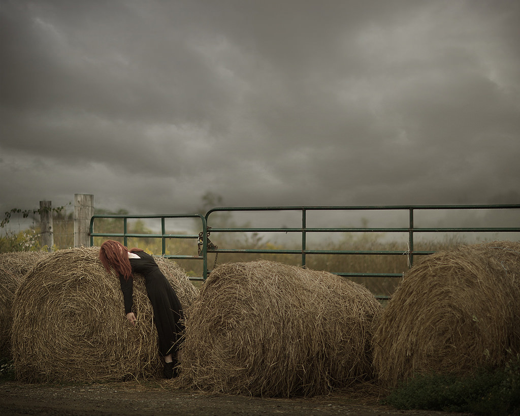 imickeyd:  Bushed by Patty Maher 