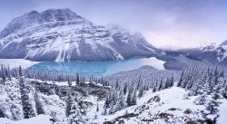 Another Frozen Day (Peyto Lake, Banff National Park)