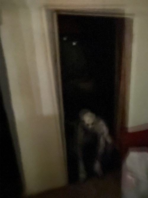 It Came From The Shed...