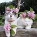 happyheidi: