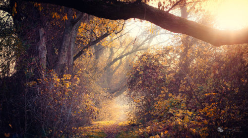 Porn songs-of-dead-souls:  Way Outby ildiko-neer photos