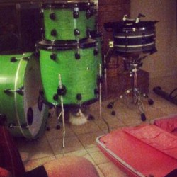 blackcatsandpinkshoes:  #Kitty wanna play #drums. She’s #punk  This colour is soooooooo nice :3