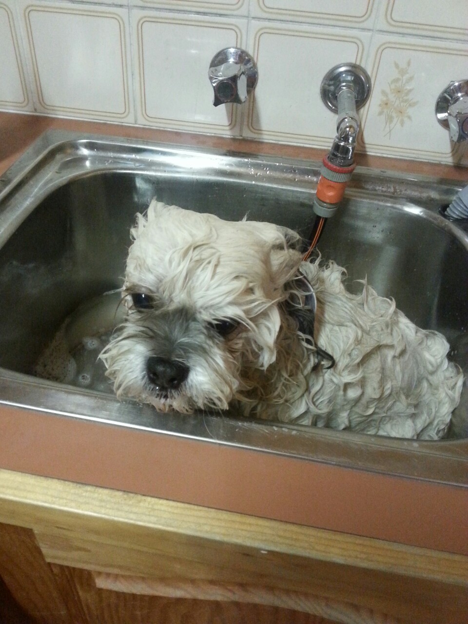 softbilbo:  Evolution of bath time 