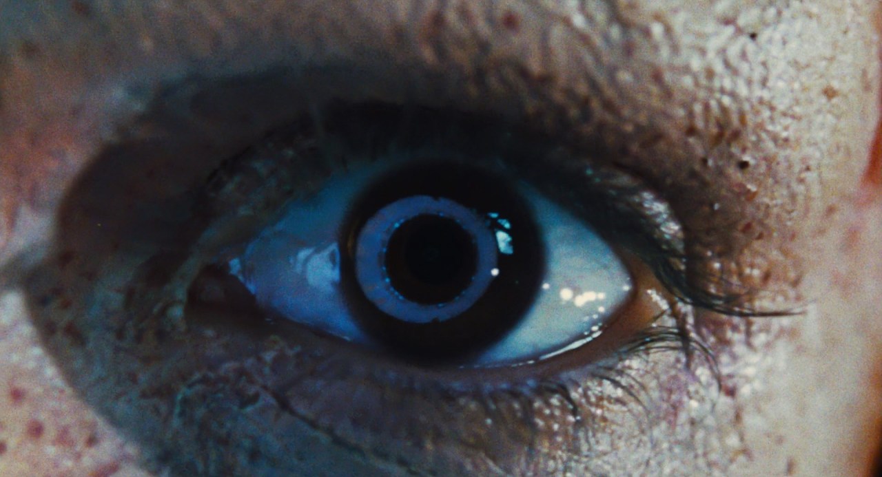 cleofisrandolph:Martyrs (2008) dir. Pascal Laugier, cinematography by Stéphane